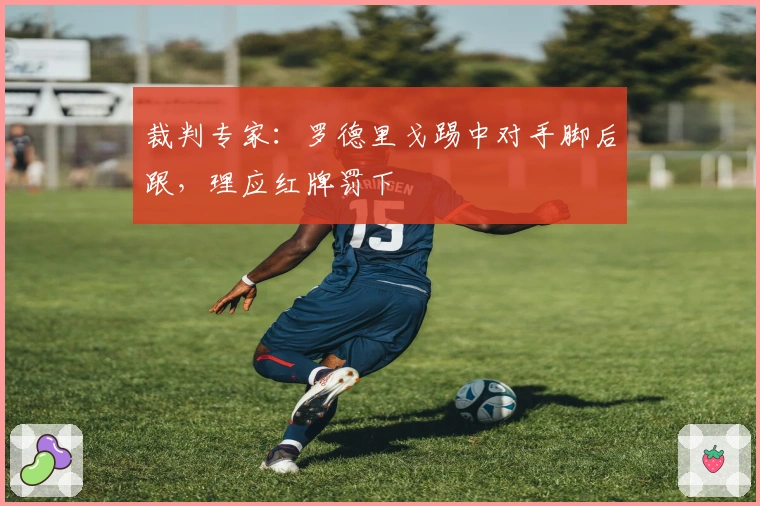 裁判专家：罗德里戈踢中对手脚后跟，理应红牌罚下