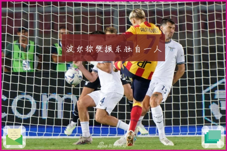 波尔称樊振东独自一人